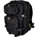 Backpack "Assault" 50 liter (Tactical Frog) (Black)