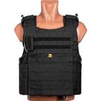 Plate carrier M4 (ANA) (Black)