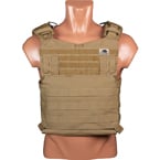 Plate carrier 