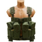 Combat vest "Turtle" (Sotnik) (Olive)