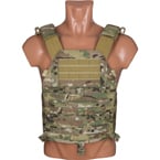 Plate carrier 